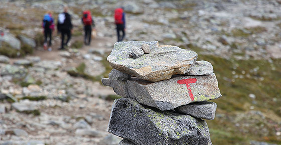 Topp 8 turforslag for sommerhalvåret