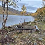 Aikovenn