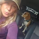 Aliciaogenhund