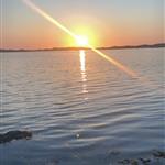 annebeate81