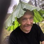 Arvid L