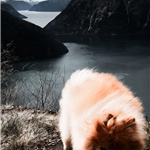 Bella by the fjords