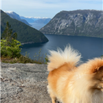 Bella by the fjords