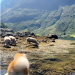 Bella by the fjords
