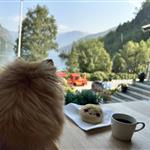 Bella by the fjords