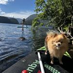 Bella by the fjords