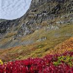 Bitihorn