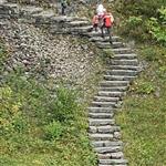 Bjarnete