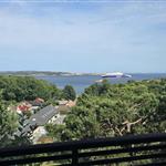 Boblevenn