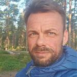 Brunbjørn