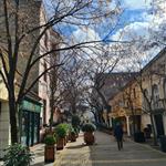 Dragana