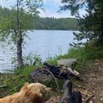 Elli