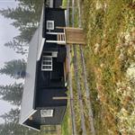EVERT