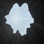 Finnenvenn