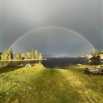 Finnenvenn