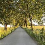 Finnenvenn
