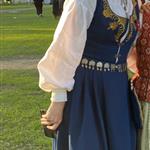 Fiskene