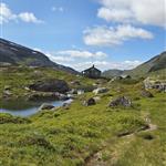 Fjell og vidde