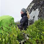 Fjellblikk