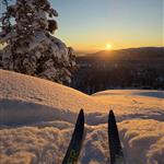 Fjellblikk