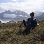 fjellblom