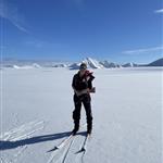 Fjellbris