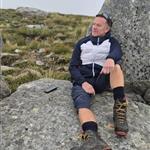 Fjellfyr