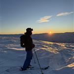 Fjellfyr