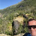 Fjellfyr