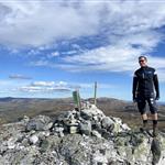 Fjellfyr