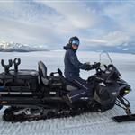 Fjellfyr