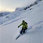 Fjellgeita ved havet