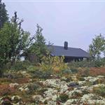 Fjelljenta