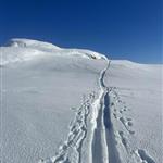 Fjelljente2