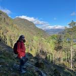 Fjellogsjø