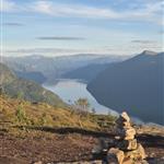 Fjellsnupp