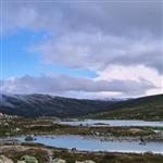 Fjellsnupp