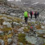 Fjellstøtt