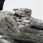Fjellstøtt