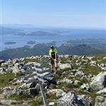 Fjellstøtt