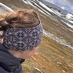 Fjellstjerne