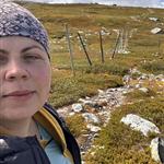 Fjellstjerne