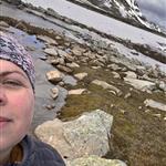 Fjellstjerne