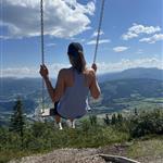 Fjelltaus