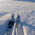 Fjelltuppa 66