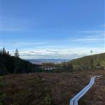 Fjelltuppe