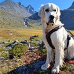 Fjelltur