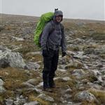 Fjellturvenn