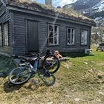 Fjelmann