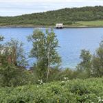Gladløper